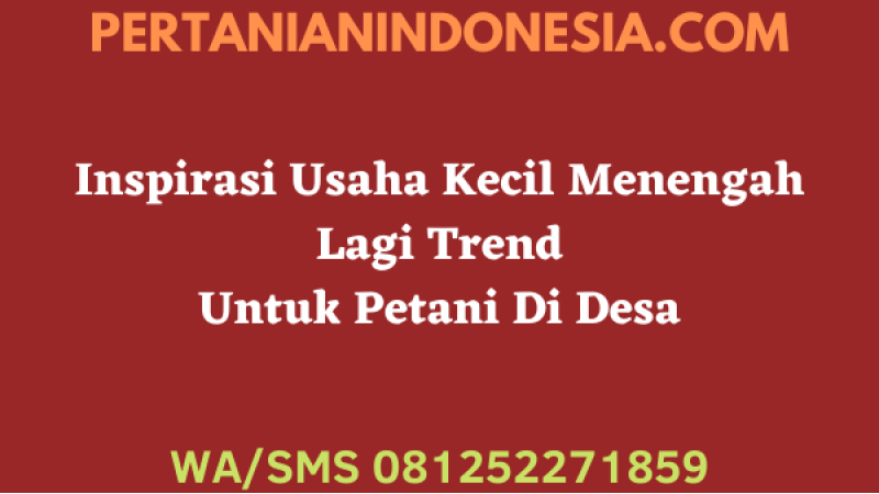 Inspirasi Usaha Kecil Menengah Lagi Trend Untuk Petani Di Desa