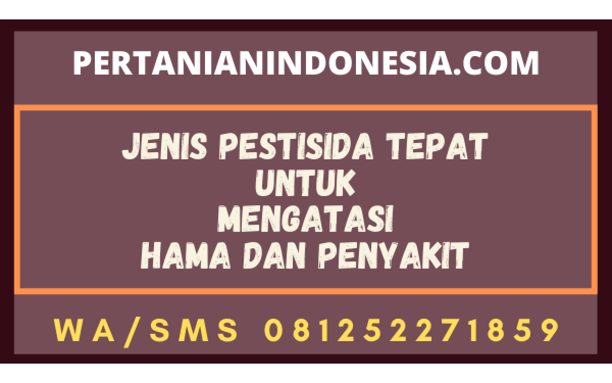 Jenis Pestisida Tepat Untuk Mengatasi Hama Dan Penyakit