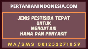 Jenis Pestisida Tepat Untuk Mengatasi Hama Dan Penyakit