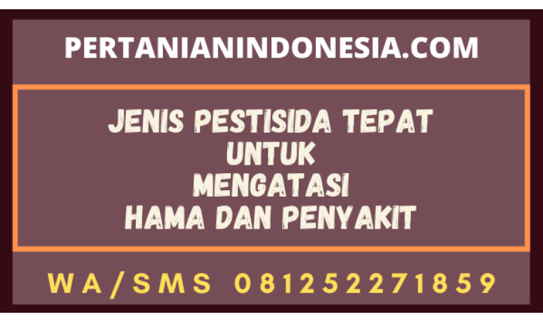 Jenis Pestisida Tepat Untuk Mengatasi Hama Dan Penyakit