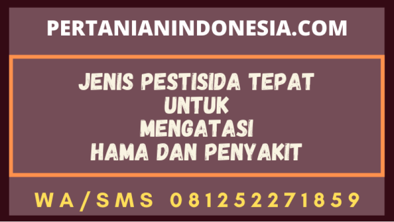 Jenis Pestisida Tepat Untuk Mengatasi Hama Dan Penyakit