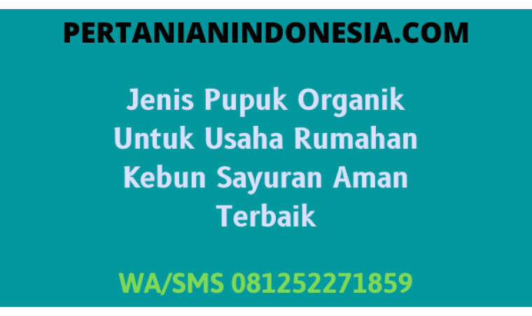 Jenis Pupuk Organik Untuk Usaha Rumahan Kebun Sayuran Aman Terbaik