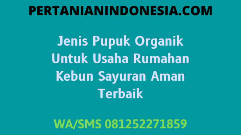 Jenis Pupuk Organik Untuk Usaha Rumahan Kebun Sayuran Aman Terbaik