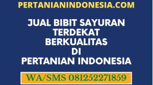 Jual Bibit Sayuran Terdekat Berkualitas Di Pertanian Indonesia