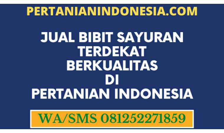 Jual Bibit Sayuran Terdekat Berkualitas Di Pertanian Indonesia
