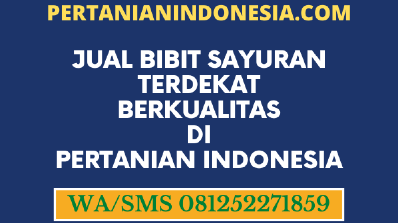 Jual Bibit Sayuran Terdekat Berkualitas Di Pertanian Indonesia