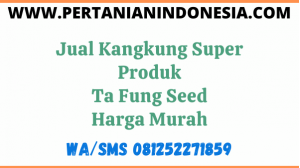 Jual Kangkung Super Produk Ta Fung Seed Harga Murah