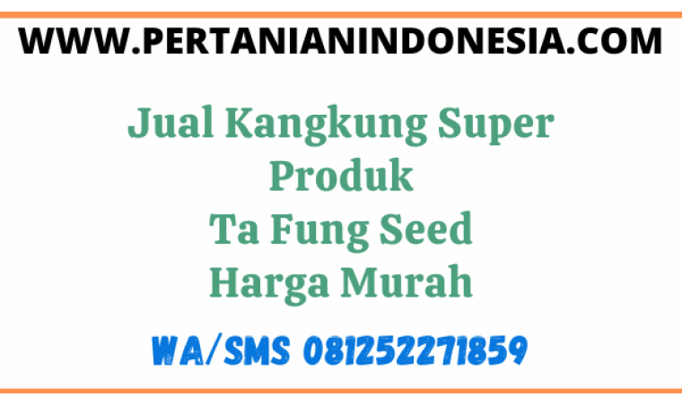Jual Kangkung Super Produk Ta Fung Seed Harga Murah