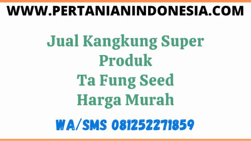 Jual Kangkung Super Produk Ta Fung Seed Harga Murah