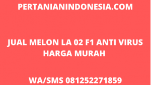 Jual LA 02 F1 Melon Anti Virus Favorit Petani Harga Murah