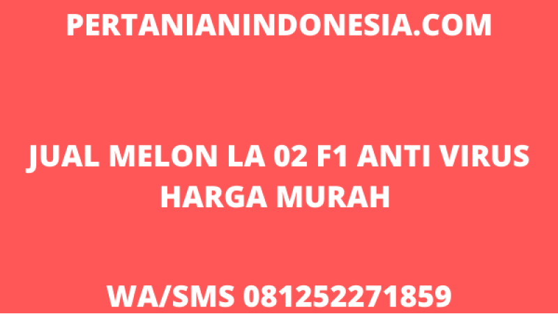 Jual LA 02 F1 Melon Anti Virus Favorit Petani Harga Murah