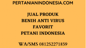 Jual Produk Benih Anti Virus Favorit Petani Indonesia