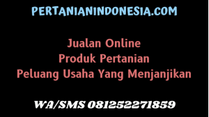 Jualan Online Produk Pertanian Peluang Usaha Yang Menjanjikan