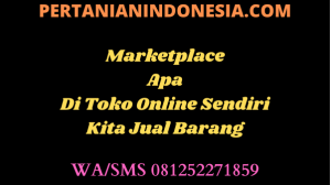 Marketplace Apa Di Toko Online Sendiri Kita Jual Barang