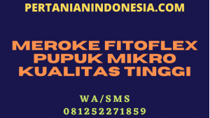 Meroke Fitoflex Pupuk Mikro Kualitas Tinggi