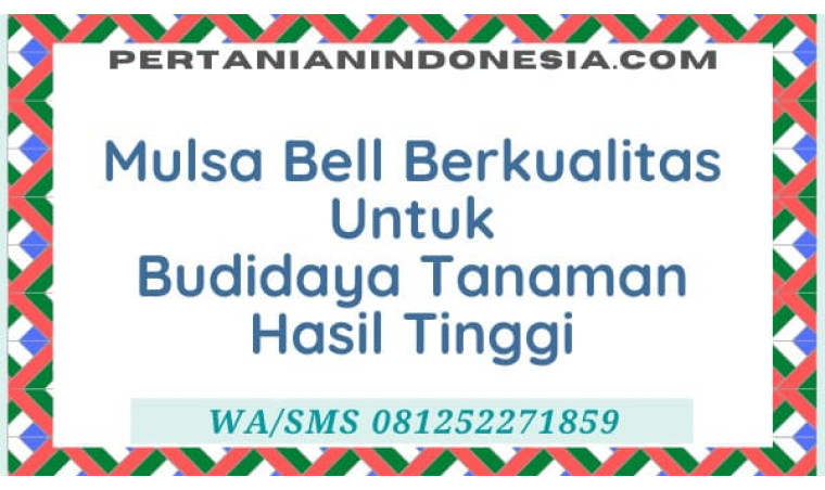 Mulsa Bell Berkualitas Untuk Budidaya Tanaman Hasil Tinggi