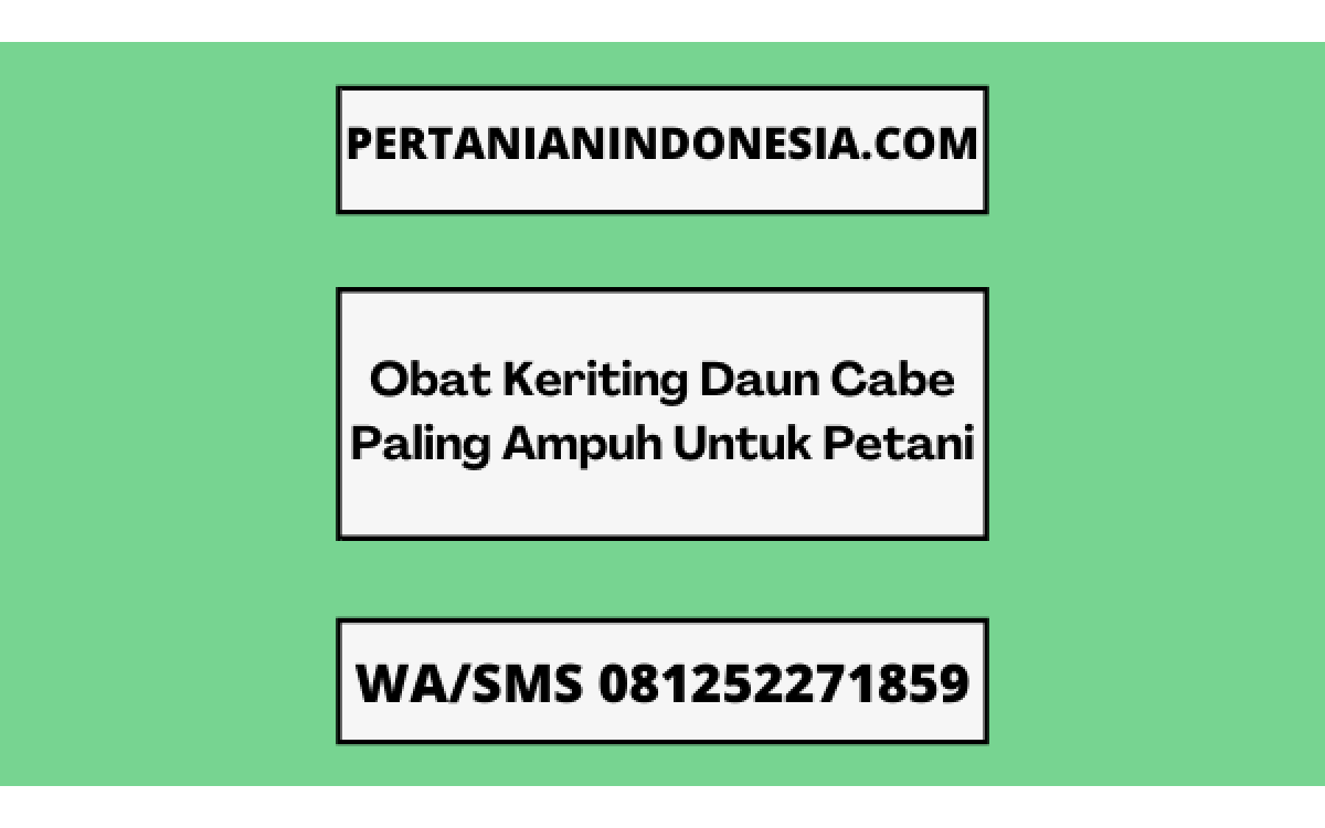 Obat Keriting Daun Cabe Paling Ampuh Untuk Petani