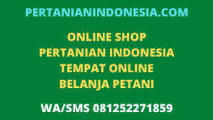 Online Shop Pertanian Indonesia Tempat Belanja Online Petani
