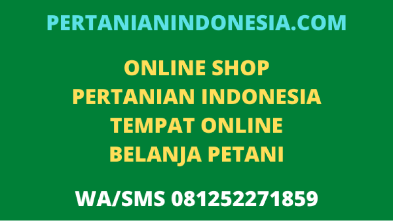 Online Shop Pertanian Indonesia Tempat Belanja Online Petani