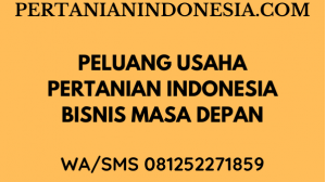 PELUANG USAHA PERTANIAN INDONESIA, BISNIS MASA DEPAN