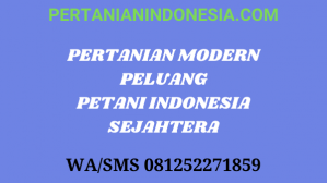 Pertanian Modern Peluang Petani Indonesia Sejahtera