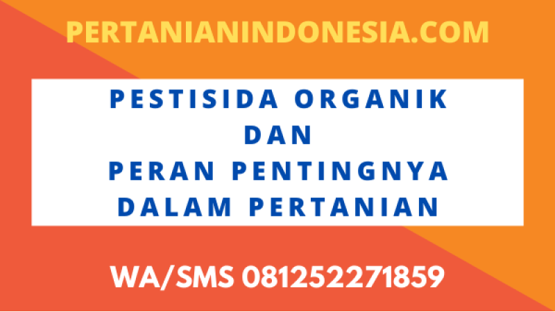 Pestisida Organik Dan Peran Pentingnya Dalam Pertanian