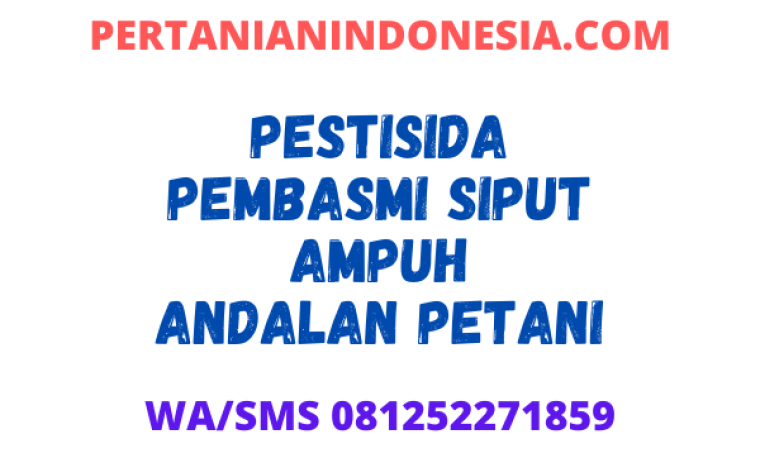 Pestisida Pembasmi Siput Ampuh Andalan Petani