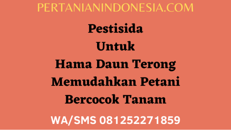 Pestisida Untuk Hama Daun Terong Memudahkan Petani Bercocok Tanam