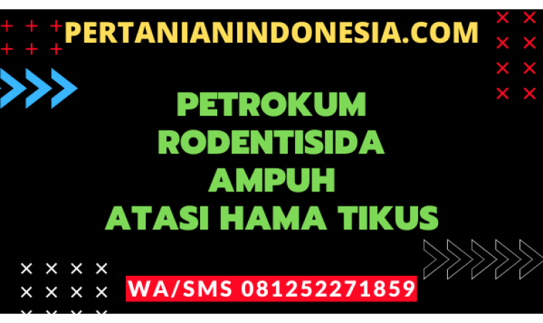 Petrokum Rodentisida Ampuh Atasi Hama Tikus
