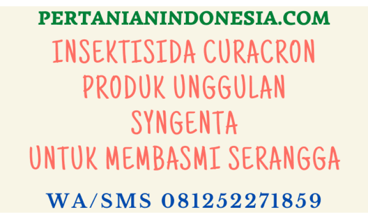 Insektisida Curacron Produk Unggulan Syngenta Untuk Membasmi Serangga
