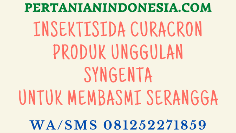 Insektisida Curacron Produk Unggulan Syngenta Untuk Membasmi Serangga