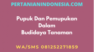 Pupuk Dan Pemupukan Dalam Budidaya Tanaman