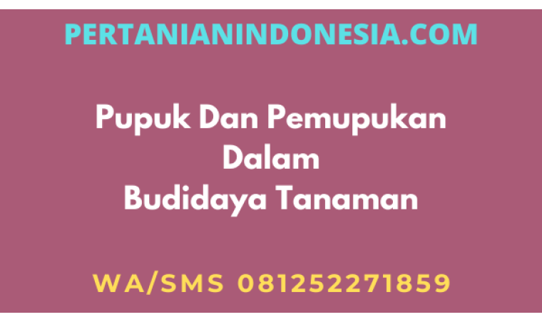 Pupuk Dan Pemupukan Dalam Budidaya Tanaman