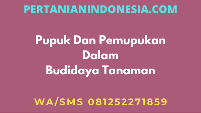 Pupuk Dan Pemupukan Dalam Budidaya Tanaman