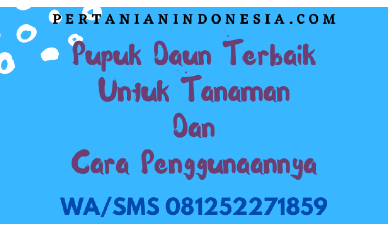 Pupuk Daun Terbaik Untuk Tanaman Dan Cara Penggunaannya