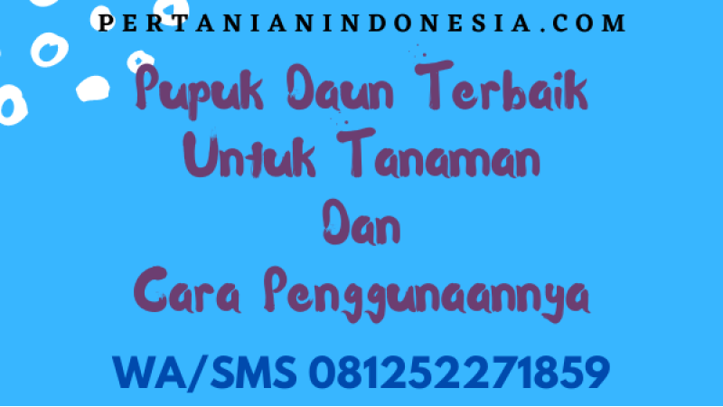 Pupuk Daun Terbaik Untuk Tanaman Dan Cara Penggunaannya