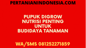 Pupuk Digrow Nutrisi Penting Untuk Budidaya Tanaman