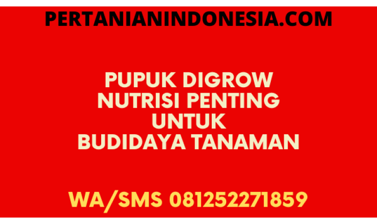 Pupuk Digrow Nutrisi Penting Untuk Budidaya Tanaman