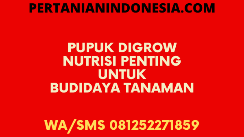 Pupuk Digrow Nutrisi Penting Untuk Budidaya Tanaman