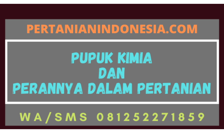 Pupuk Kimia Dan Perannya Dalam Pertanian