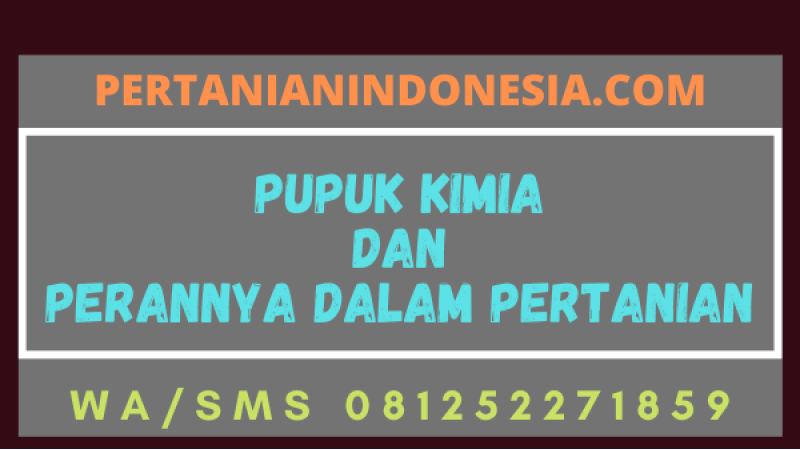 Pupuk Kimia Dan Perannya Dalam Pertanian