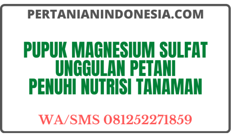 Pupuk Magnesium Sulfat Unggulan Petani Penuhi Nutrisi Tanaman