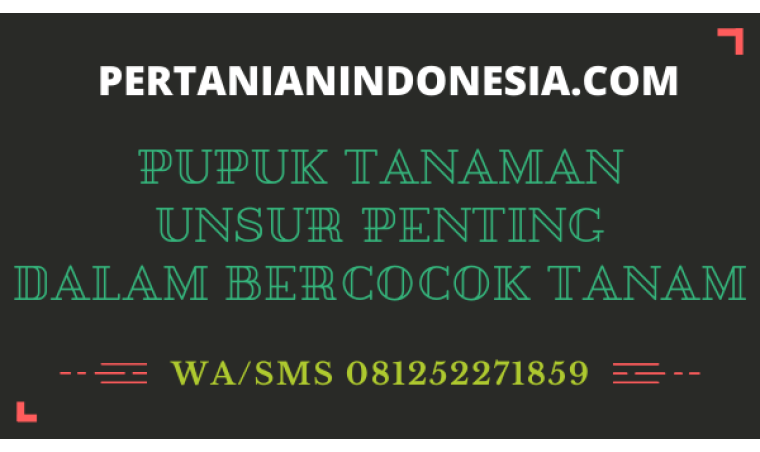 Pupuk Tanaman Unsur Penting Dalam Bercocok Tanam