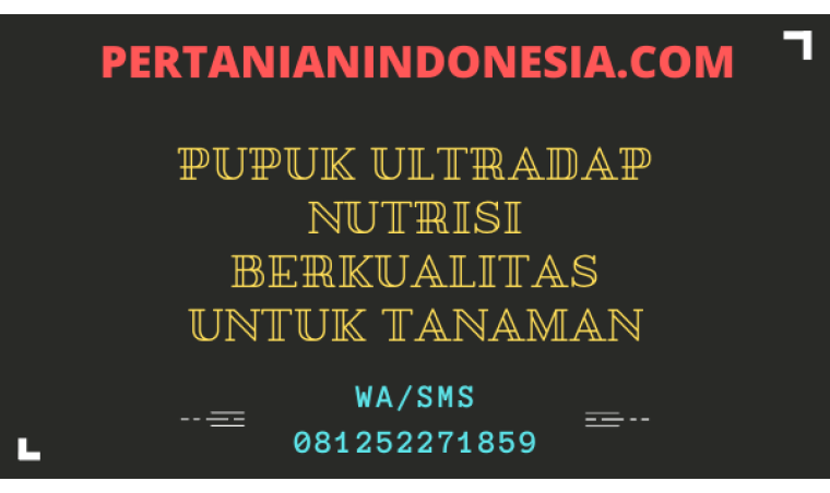 Pupuk Ultradap Nutrisi Berkualitas Untuk Tanaman