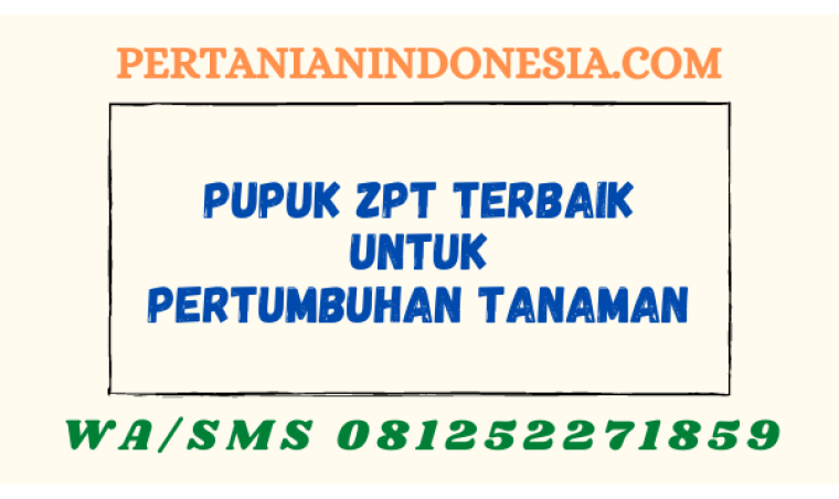Pupuk ZPT Terbaik Untuk Pertumbuhan Tanaman