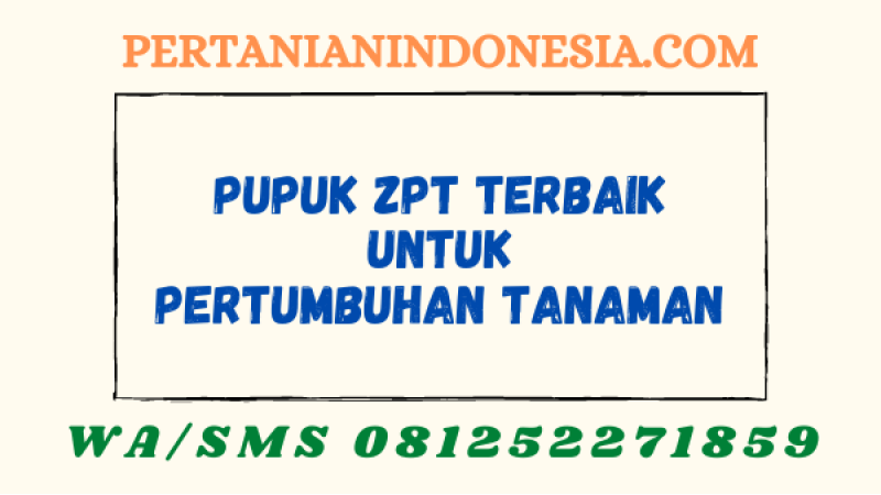 Pupuk ZPT Terbaik Untuk Pertumbuhan Tanaman
