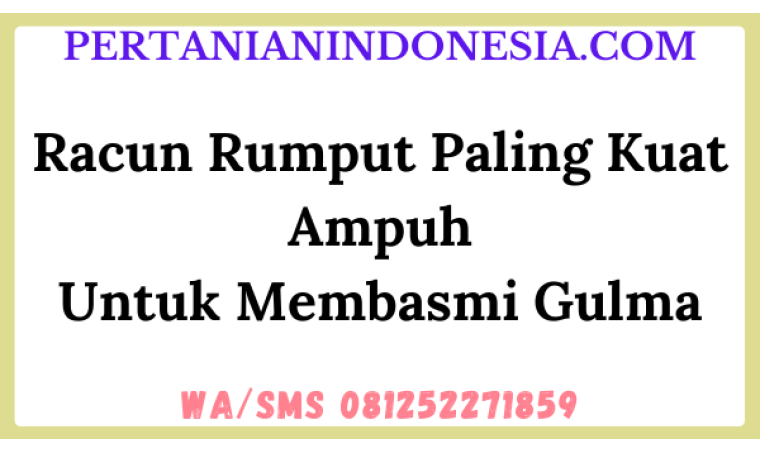 Racun Rumput Paling Kuat Ampuh Untuk Membasmi Gulma