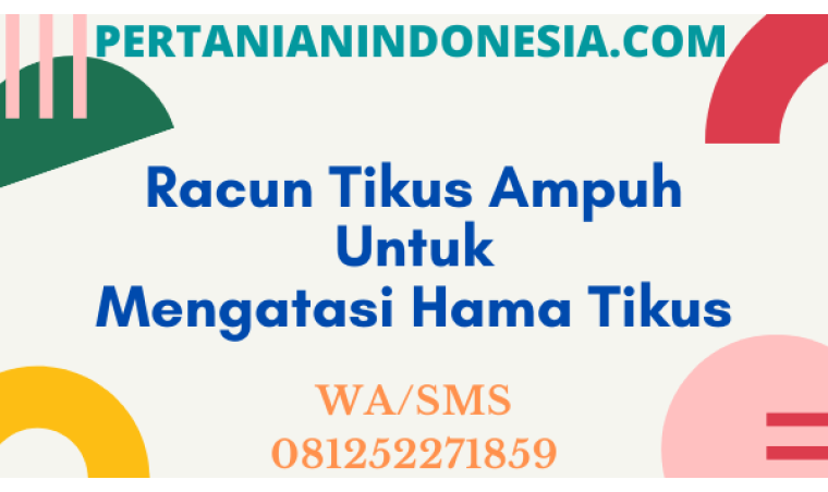 Racun Tikus Ampuh Untuk Mengatasi Hama Tikus