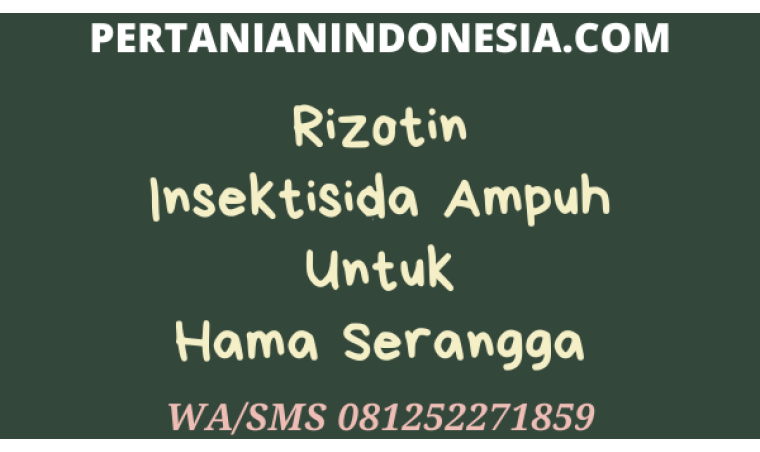 Rizotin Insektisida Ampuh Untuk Hama Serangga