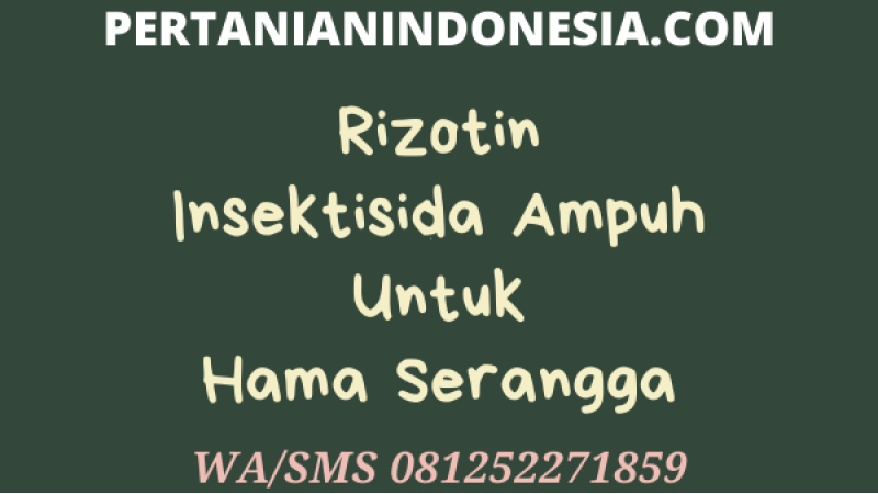Rizotin Insektisida Ampuh Untuk Hama Serangga